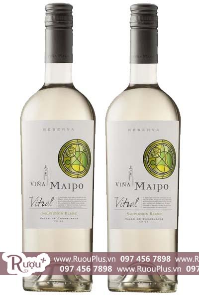 Rượu vang Chile Vina Maipo Vitral Reserva Sauvignon Blanc