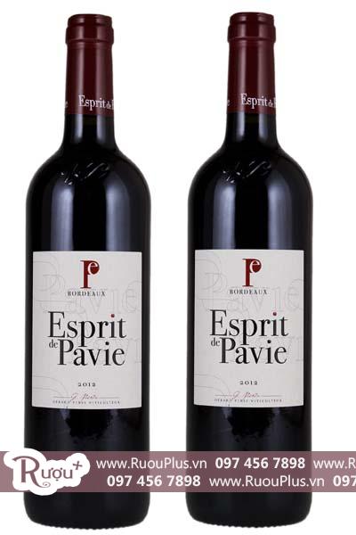 Rượu vang Esprit de Pavie, Merlot / Cabernet Franc
