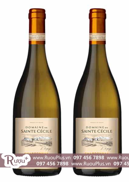 Rượu vang Pháp Domaine Sainte Cecile Chardonnay
