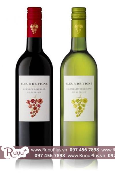 Rượu vang Pháp Fleur de Vigne