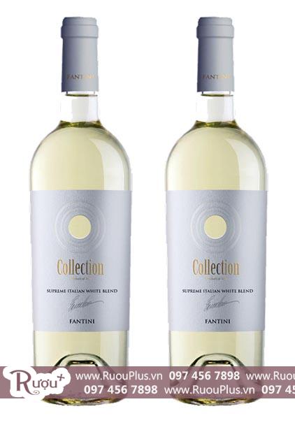 Rượu vang Ý Fantini Collection Superme Italian White Blend