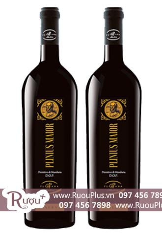 Rượu vang Ý Plinius Maior Primitivo di Manduria Riserva