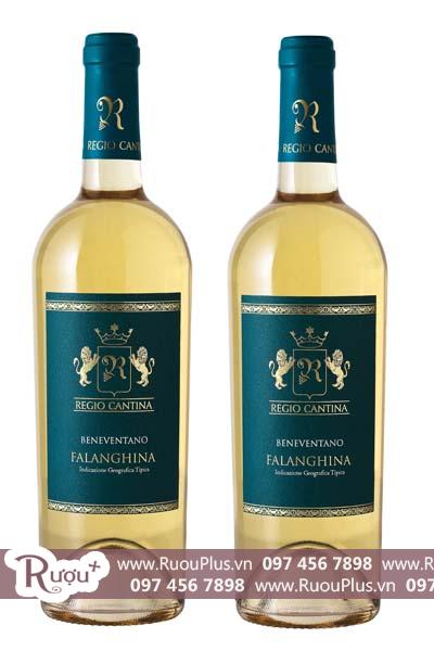 Rượu vang Ý Regio Cantina Falanghina IGT Beneventano