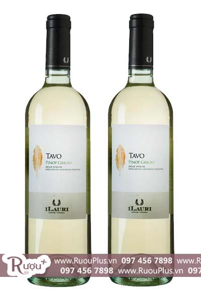Rượu vang Ý Talamonti Tavo