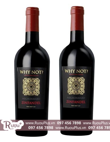 Rượu vang Zinfandel Why Not Negroamaro Primitivo
