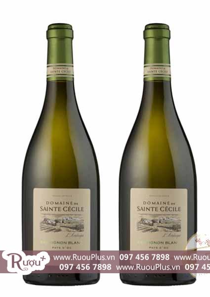 Rượu vang Pháp Domaine Sainte Cecile Sauvignon Blanc