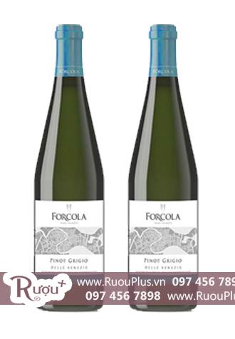 Rượu vang Ý Forcola Pinot Grigio