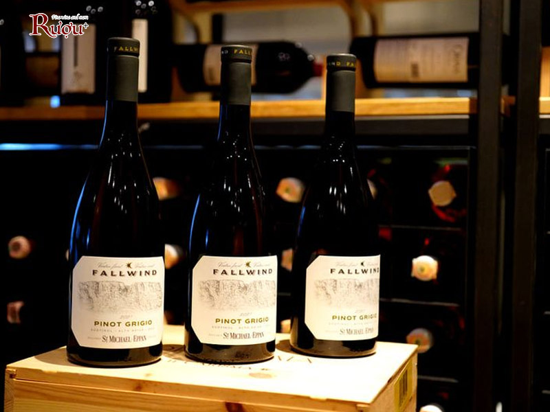 Rượu Vang Trắng Ý ST Michael Eppan Fallwind Pinot Grigio DOC