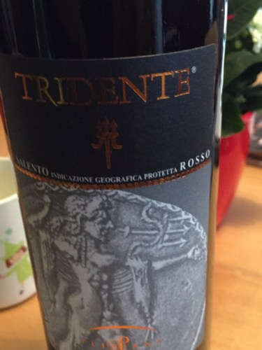 Rượu vang Ý Tridente Salento Rosso