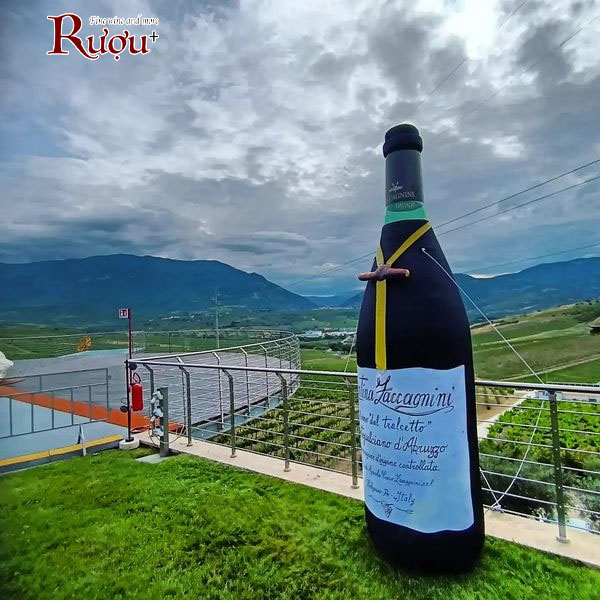 Rượu vang Cantina Zaccagnini Montepulciano d'Abruzzo Riserva