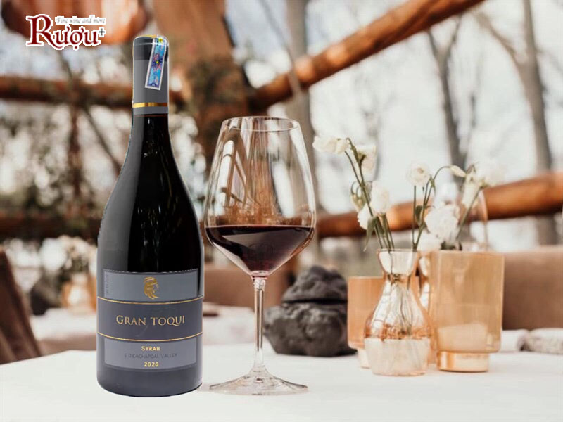 Rượu Vang Chile Gran Toqui Syrah