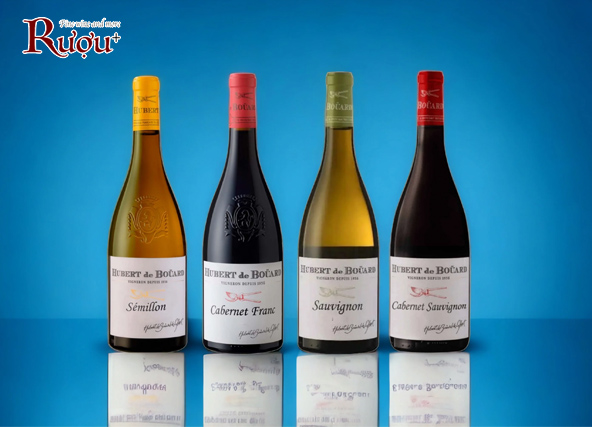 Rượu vang Pháp Hubert De Bouard Semillon