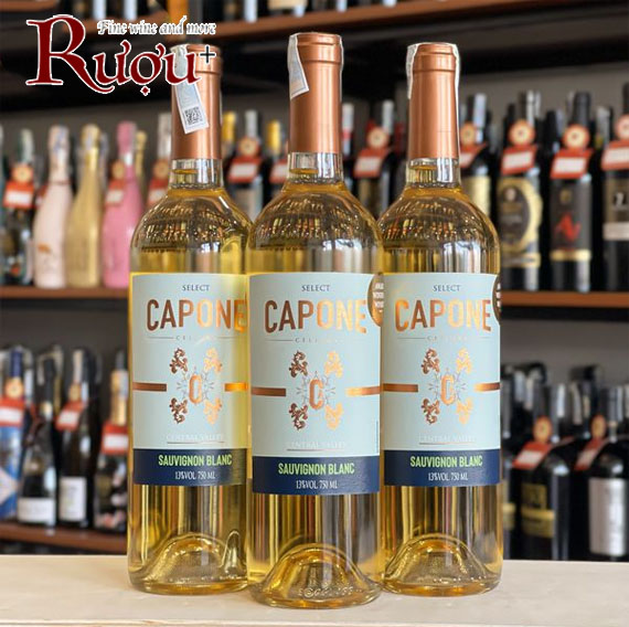 Vang Chile Capone Selected Sauvignon Blanc