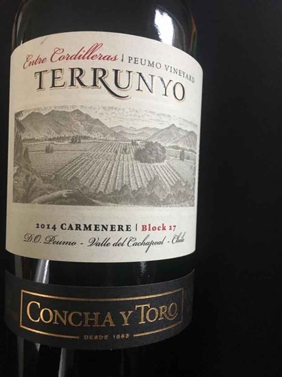 Terrunyo Carmenere Block 27