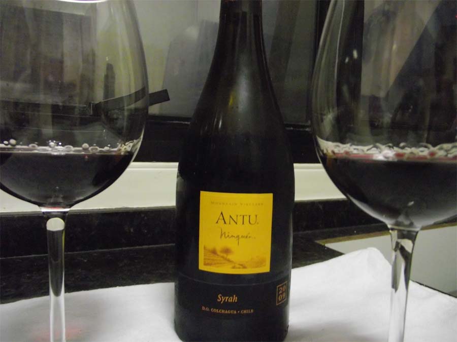 Rượu vang Chile Antu Shiraz