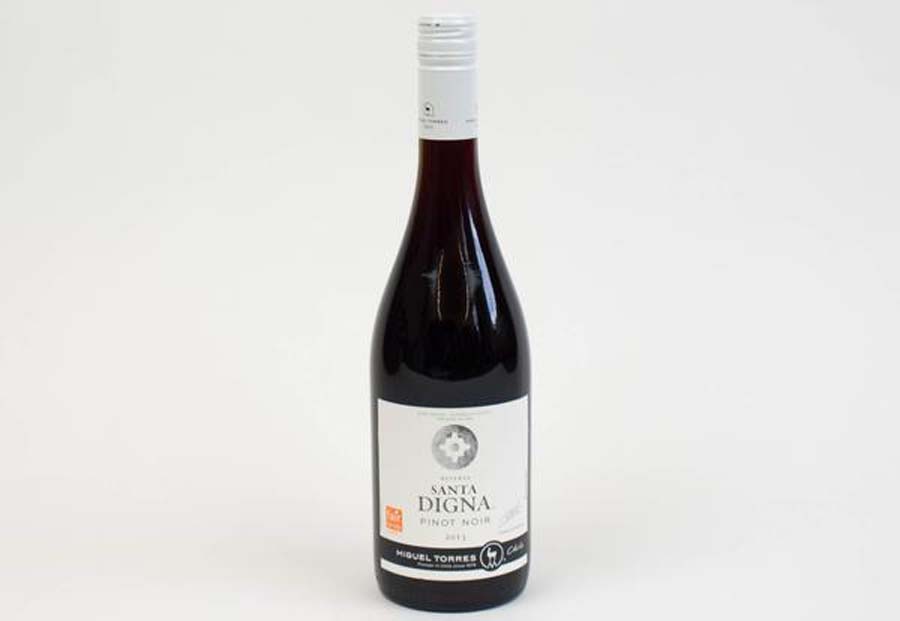 Rượu vang Chile Santa Digna Pinot Noir Rượu vang Chile Santa Digna Pinot Noir