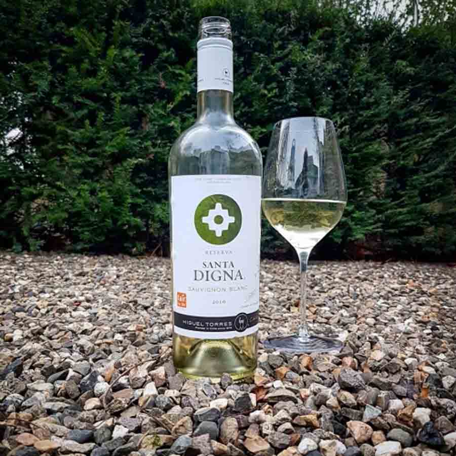 Rượu vang Chile Santa Digna Sauvignon Reserva Rượu vang Chile Santa Digna Sauvignon Reserva