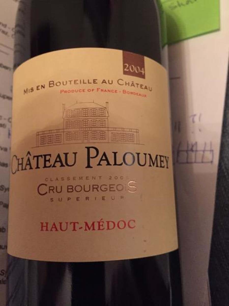 Rượu vang Pháp Ailes de Paloumey