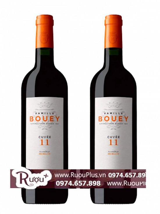 Rượu vang Pháp Famille Bouey Cuvee 11 Merlot