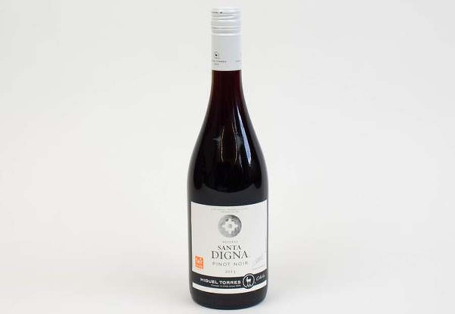 Rượu vang Chile Santa Digna Pinot Noir