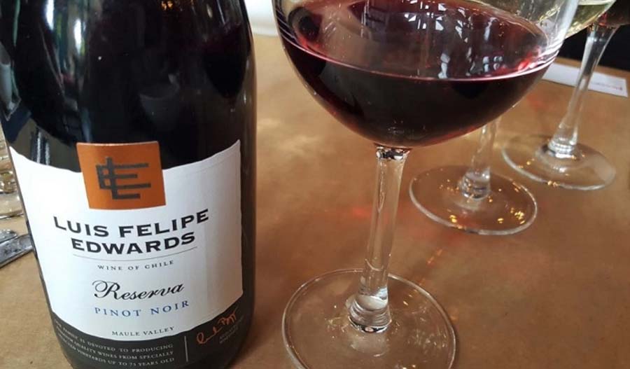 Rượu vang Chile Luis Felipe Edwards Pinot Noir